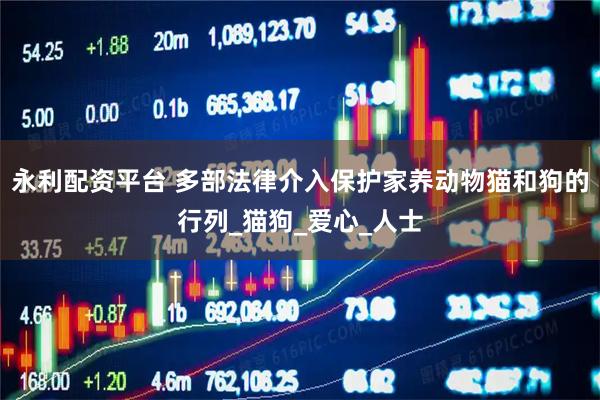 永利配资平台 多部法律介入保护家养动物猫和狗的行列_猫狗_爱心_人士